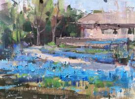 Blue Bonnets at Anderson Mill by Qiang Huang
