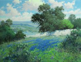 Hill Country Splendor by Robert Pummill