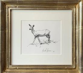 Doe, a Deer by Bruce Greene