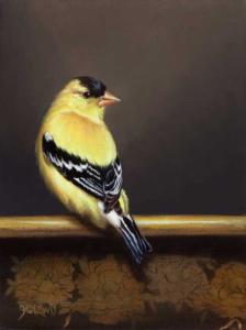 A Quiet Minute (American Goldfinch) by Jhenna Quinn Lewis