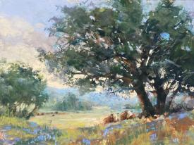 Hill Country Afternoon by Clive R. Tyler