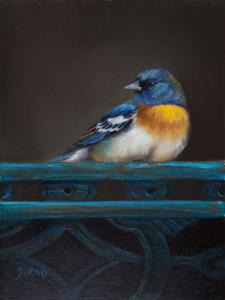 A Pause During the Day (Lazuli Bunting) by Jhenna Quinn Lewis