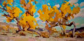 Dancing Cottonwoods by Jill Carver